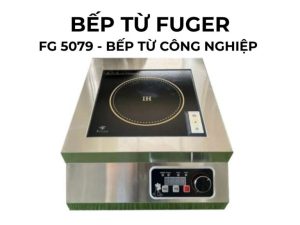 Bếp từ công nghiệp Fuger 5000W FG-5079 (Giá bao gồm VAT)