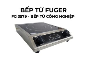 Bếp từ công nghiệp Fuger 3500W FG-3579 (Giá bao gồm VAT)